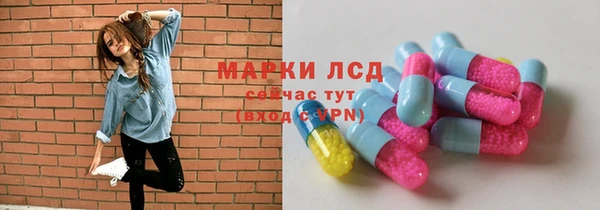 индика Армянск