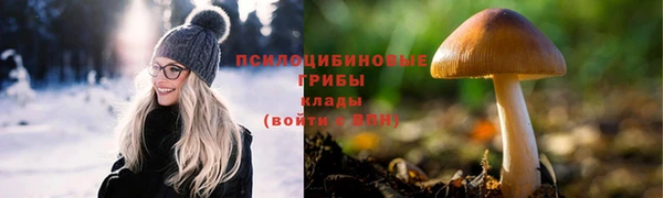 ALPHA PVP Аркадак