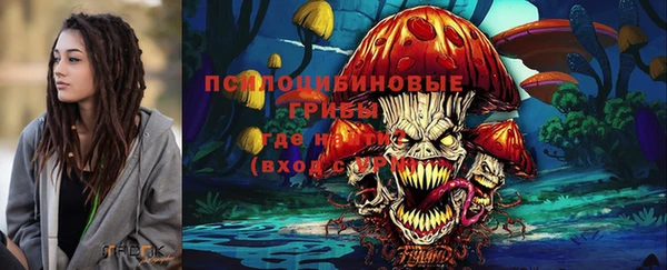 индика Армянск