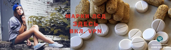 индика Армянск
