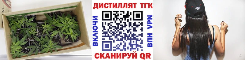 ТГК Wax  Рыльск 