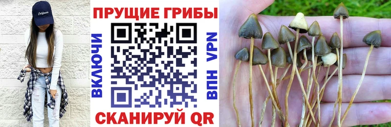Галлюциногенные грибы Cubensis  купить наркотики цена  Рыльск 